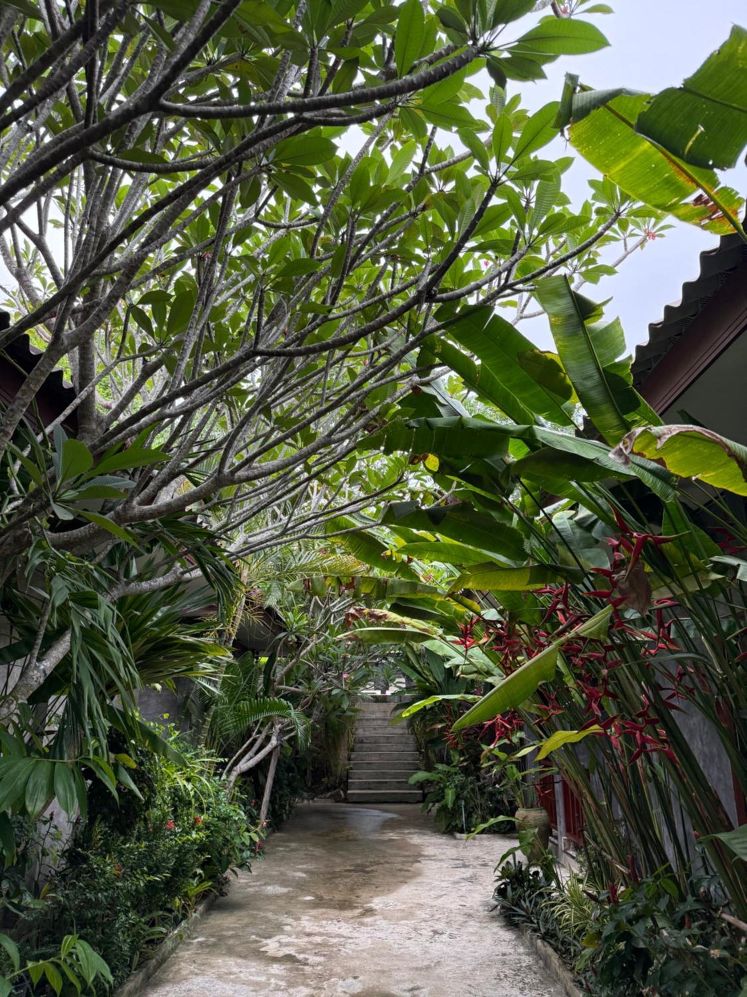 Siam Lanta Resort - Sha Extra Plus Ко-Ланта Екстер'єр фото